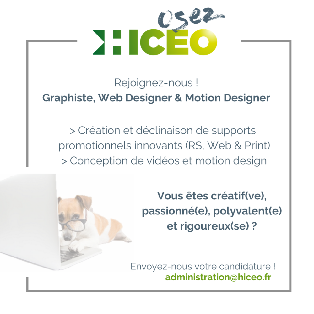 Infographiste Web Designer - Infographiste designer web