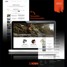 Hiceo développe les fonctionnalités d'un site internet pour Caprin