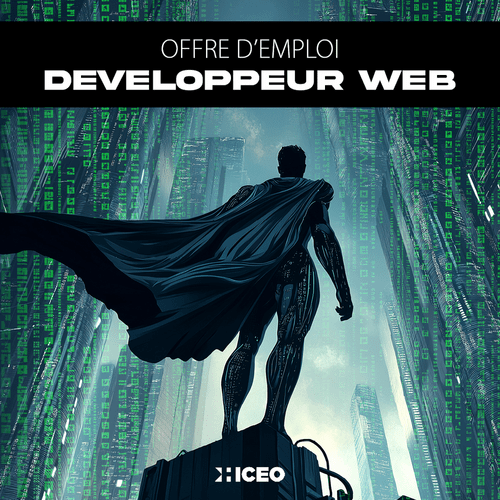 240911 030917 hiceo recherche un developpeur web h f large