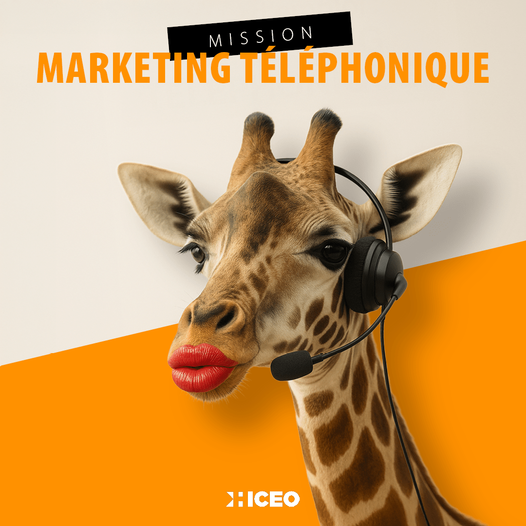HICEO offre d'emploi marketing téléphonique