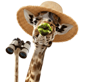 Generated Image January 26, 2026 2 20PM