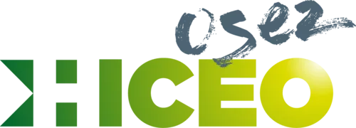 Hiceo logo main green 500px